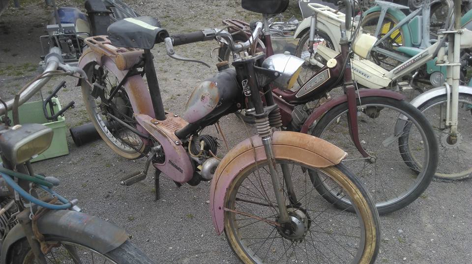 17265113_1485025588206305_1032316643683512293_n