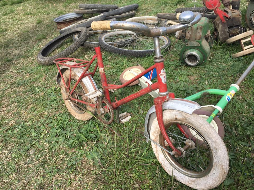 17353554_10210127944527708_8086049533097423613_n