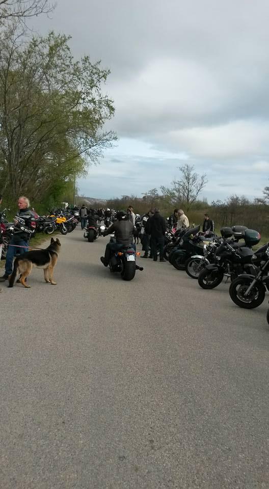 17362442_641252299378600_8541252660008054649_n