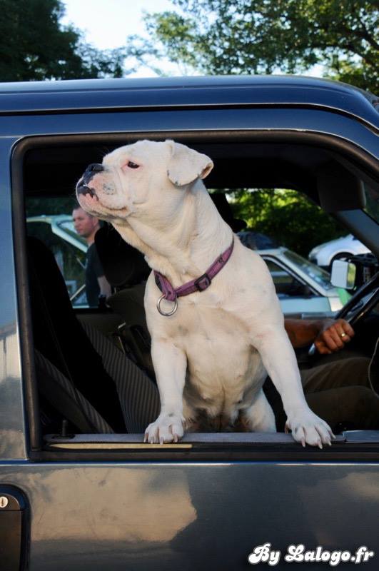 19224883_10156970707337524_2013526251072430266_n