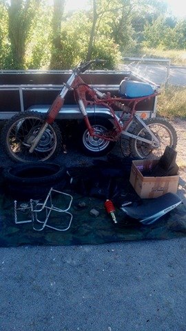 19427439_10212858716324806_115626304_n