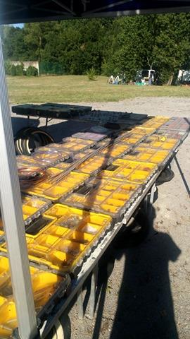 19427537_10212858697124326_343956193_n