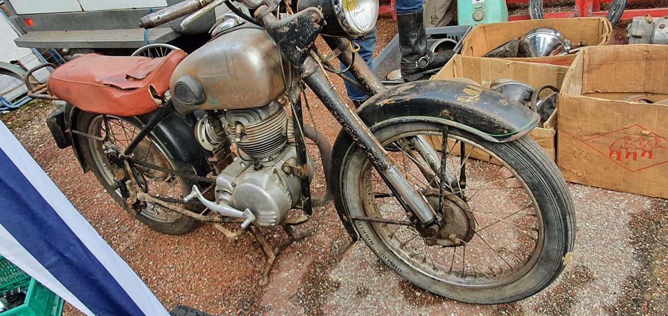 242303296 4917628501587510 5113491766002815088 n