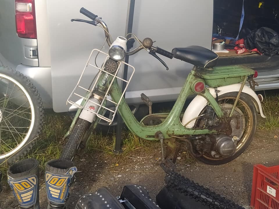 242312107 1491011747905173 3819920368702752279 n