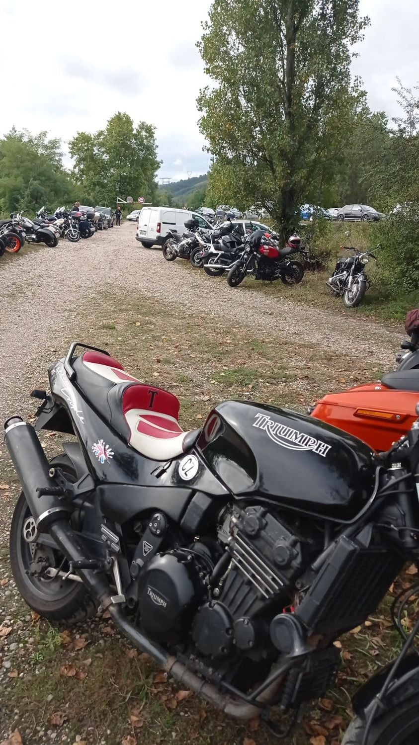 242325371 110931924669099 3827304549196145954 n