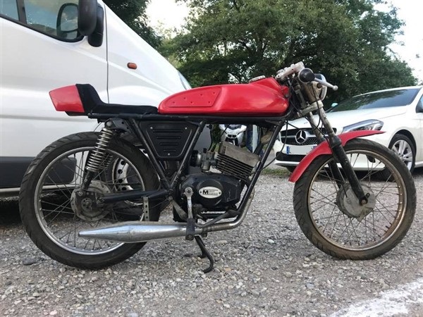 35462859_10158204343482524_9203747536710402048_n