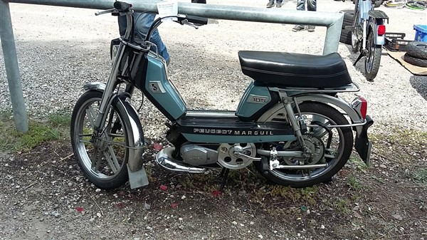 35483229_1861862434118397_302913331738443776_o