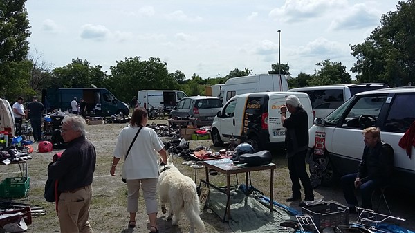 35521610_1861862270785080_2400466129496571904_o