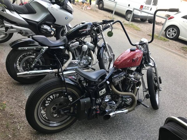 35530575_10158204345107524_4389515834175782912_n