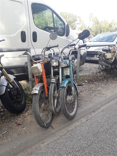 41919238_2102433589791340_6363929724829302784_n