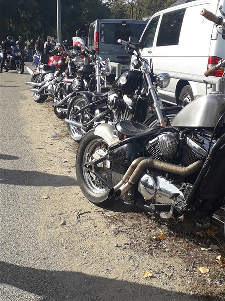 41935306_2102434523124580_4367181656344231936_n