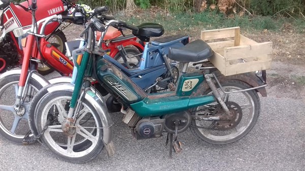 41952252_468289623676494_9075739493901795328_n