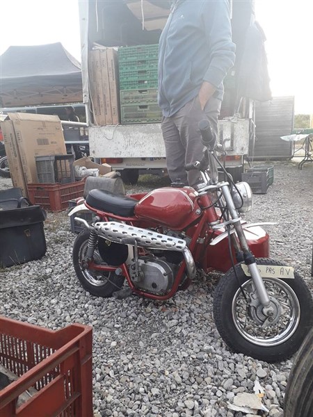 41974794_2102738479760851_550980472272846848_n