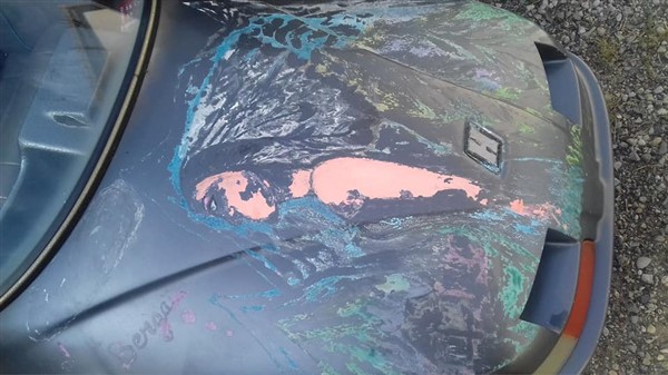 42058527_468289753676481_4069223252281524224_n