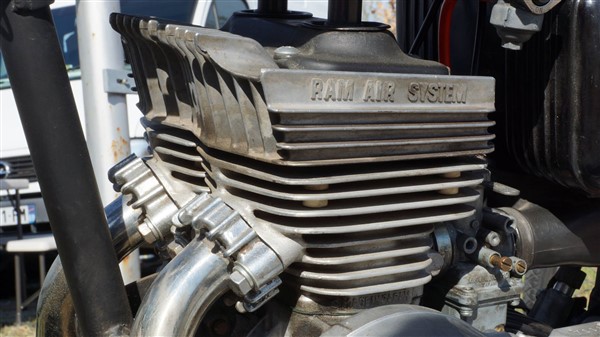 53810907_2416867165011336_6896661254723600384_o