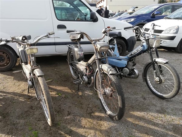 53850197_2624507337591452_3587747939407101952_n