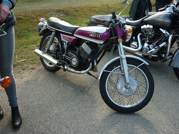 53863017_333429823959690_5939563896305090560_o