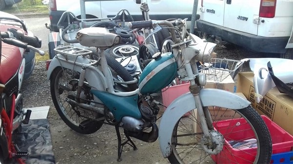 53864680_801851976821157_6946250998662823936_n