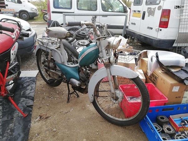 53870580_2624507550924764_8827019608532713472_n