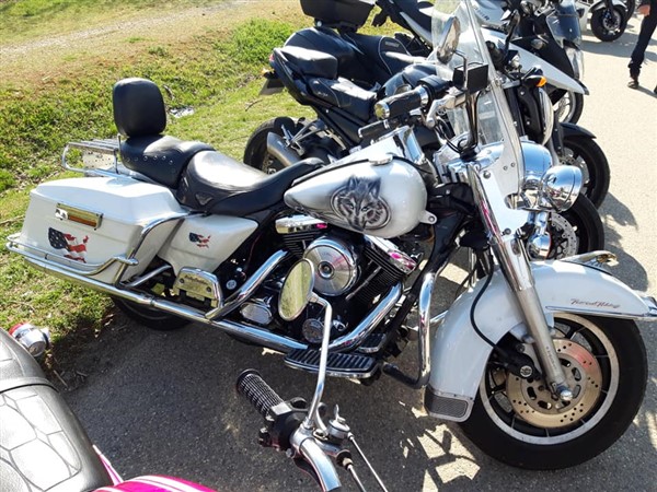 53882729_10211078106863467_1481034646421504000_n