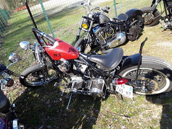 53897052_10211078103943394_9152462960021471232_n