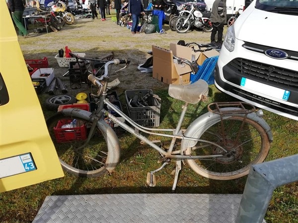 53934065_2624508324258020_2675901046454222848_n