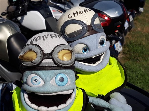 54203947_10211078102663362_6647360191559892992_n