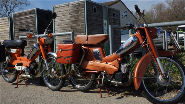 54255348_2416872211677498_4612295762049499136_o