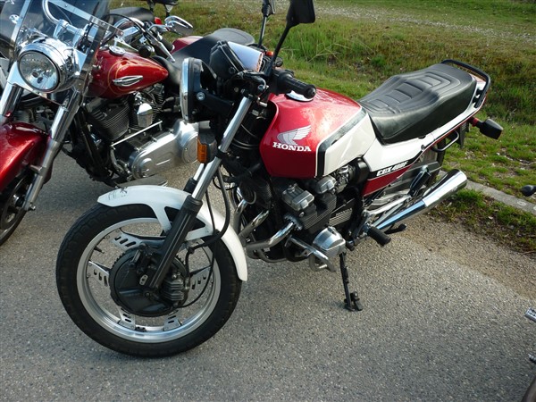 54353395_333429533959719_3068439904594690048_o