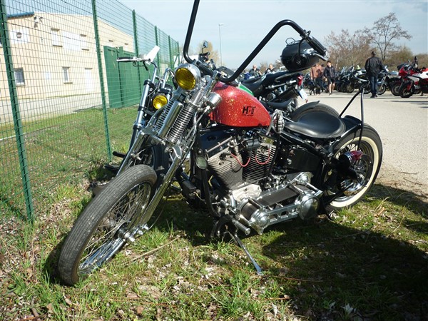 54432783_333430283959644_5531129278302781440_o