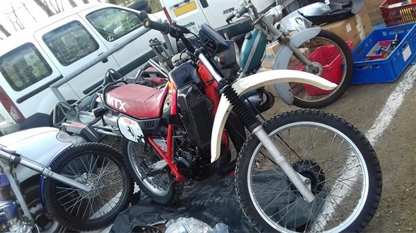 54433568_801852003487821_1845273247789088768_n