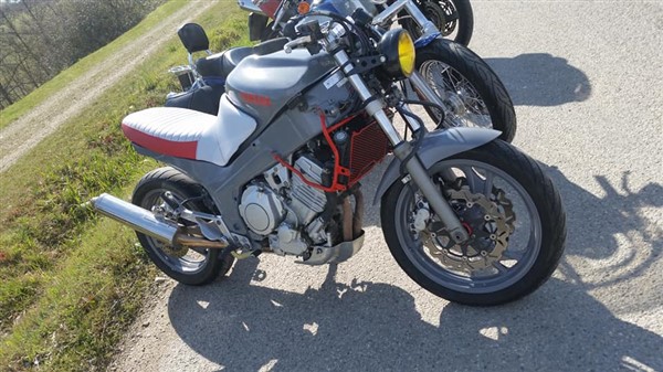 54462547_10210913595355656_8860148868835180544_n