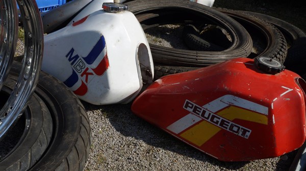 54462784_2416852325012820_7835274478354432000_o