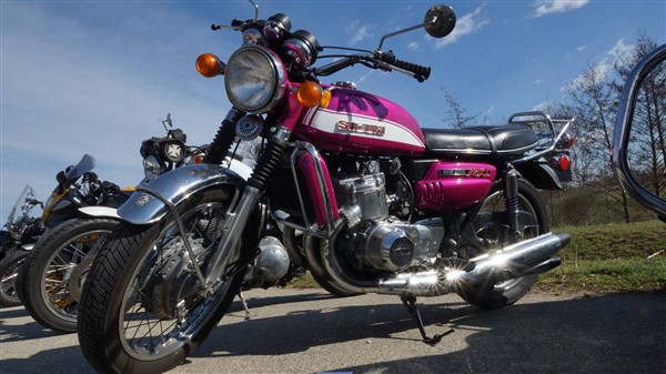 54520923_2416865645011488_5266432608513818624_o