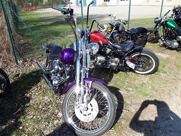 54521379_10211078105983445_3046343509037547520_n