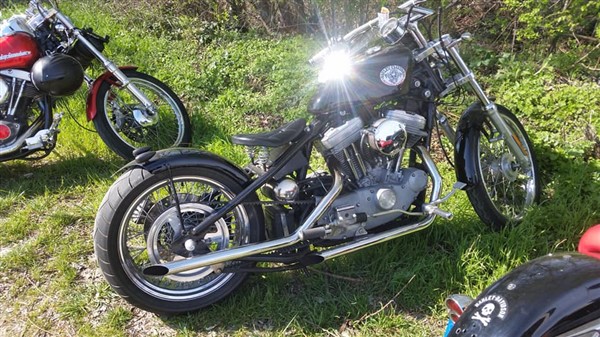 54798673_10210913593835618_8610777497056837632_n