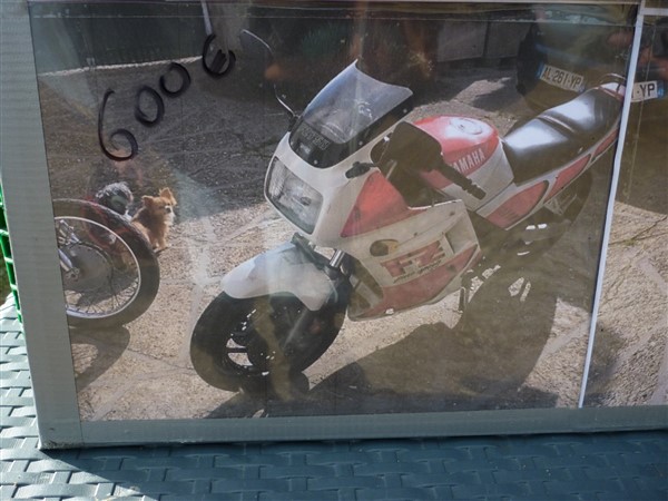 55444962_333429107293095_3701790797268516864_o