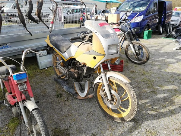 55533130_2624508244258028_4512706444096700416_n