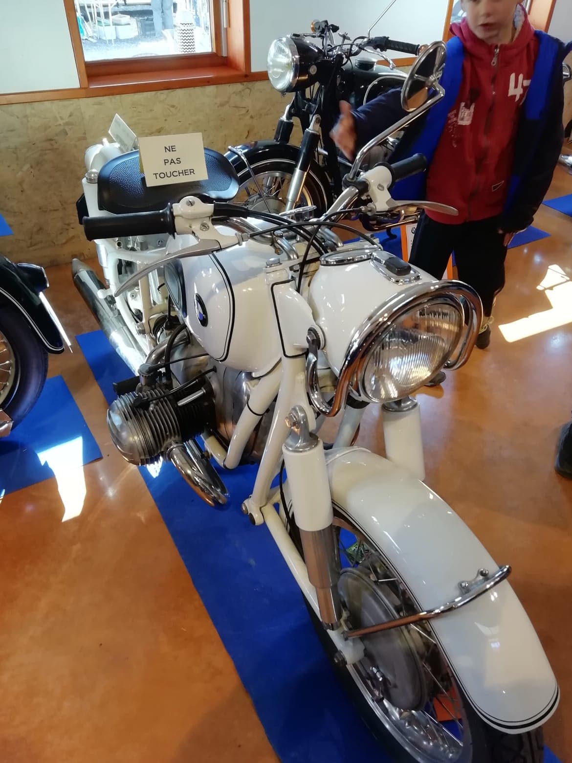 57113091_288978658660635_1837039756827951104_n