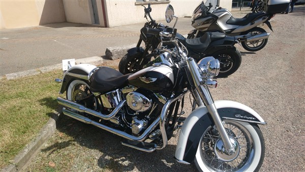 70623267_1085169611675767_8650816337536352256_o