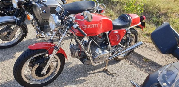 70683663_902984096702410_788132730813546496_n