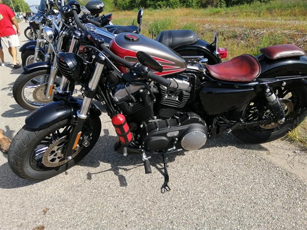 70856176_386568885591251_8868135145773727744_n